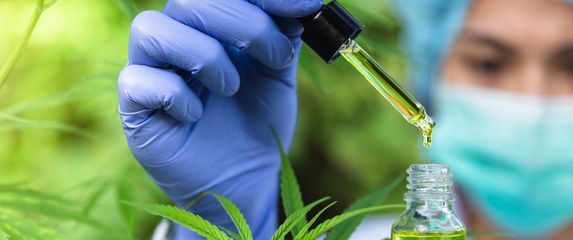 Medicinski kanabis, ilustracija