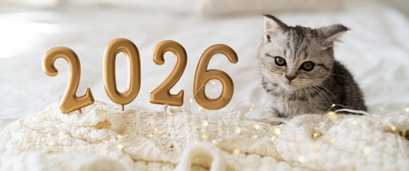 Ulazak u novu godinu idealna je prilika za mali životni reset