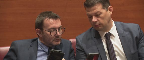 Revizija kod političkih stranaka - 2