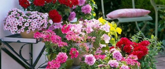 Jedva čekamo šareno cvijeće i uživanje na balkonu