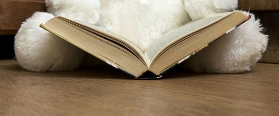 Plišani medvjedić čita knjigu