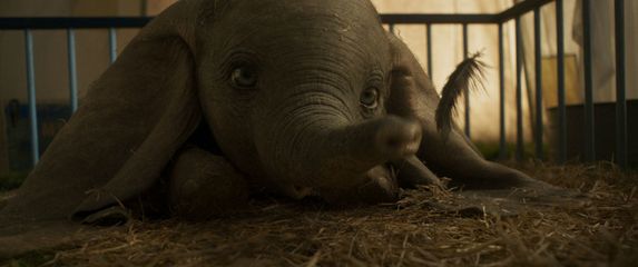 Scene iz Disneyjevog filma \'Dumbo\' o slavnom letećem sloniću - 5