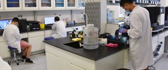 Sekvenciranje DNK/Ilustracija (Foto: AFP)