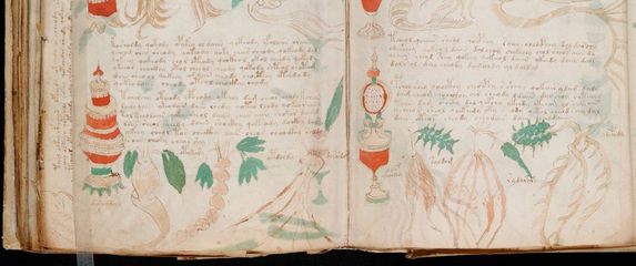 Voynichev rukopis