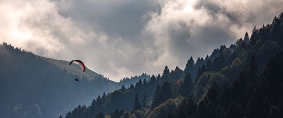 Paraglajder iznad šume, ilustracija