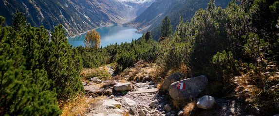 Najbistrije jezero na svijetu nalazi se u sklopu Nacionalnog parka Nelsons Lake na Novom Zelandu - 4