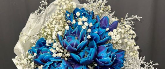 Željko Alar u svojoj cvjećarnici u Velikoj Gorici ima plave tulipane