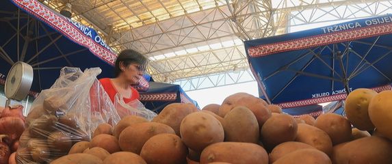 Zabilježen pad proizvodnje krumpira - 1