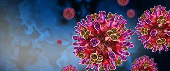 Virus Nipah, ilustracija