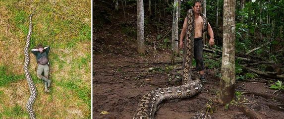 Najduža zmija ikad izmjerena u divljini