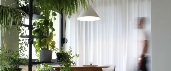 Bogato zelenilo unijelo je toplinu u stan