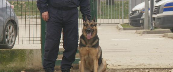 Provjereno: Policijski psi - 1