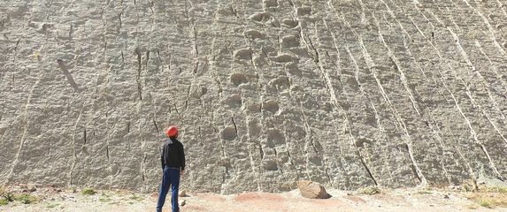 Tragovi dinosaura, ilustracija