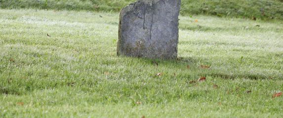 Ilustracija; Zemljište