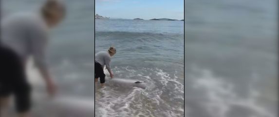 Dupin nasukan na Orebiću