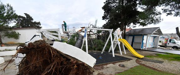 Bor se srušio na igralište - 4