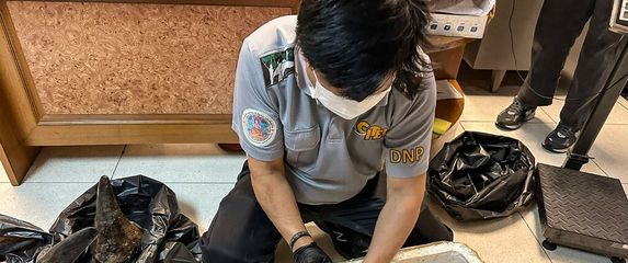 Krijumčarenje rogova nosoroga