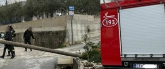 Bizarna nezgoda u Dalmaciji