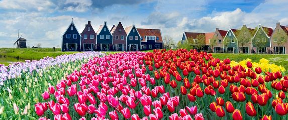 Nizozemska u proljeće - 3