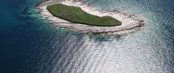 Kviz općeg znanja - 7