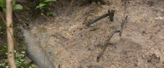 Kanalizacija u šumi