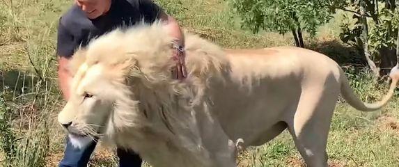 Bliski susret s lavom