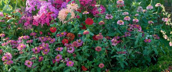 Vrt ne mora biti prevelika briga