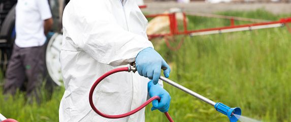 Zaprašivanje komaraca