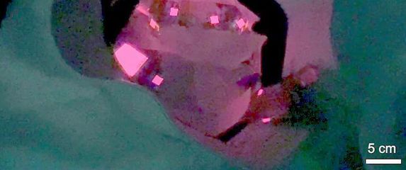 Kapa s OLED diodama za svjetlosnu terapiju vlasišta