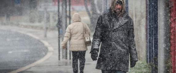 Susnježica, ilustracija