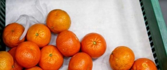 Mandarine sa smiješnom državom podrijetla
