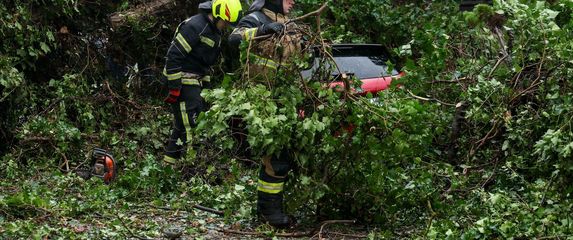 Stablo u Zagrebu palo na automobile - 1