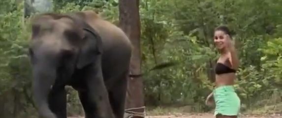 Bliski susret sa slonom