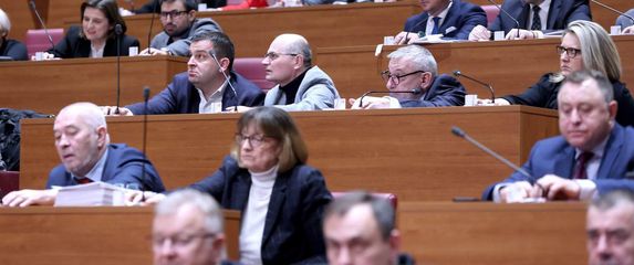 Sabor, glasanje o Ružiću