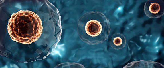 Matične stanice, ilustracija