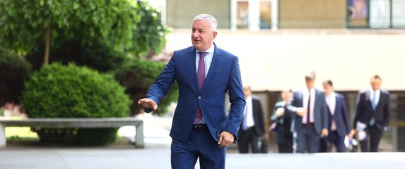 Branislav Borenović