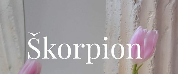 Škorpion