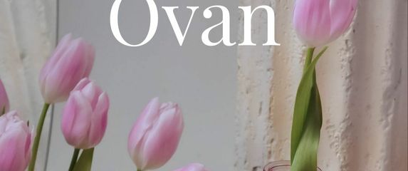 Ovan