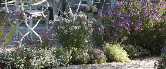 Odaberite pravu boju cvijeća za mali vrt - 5