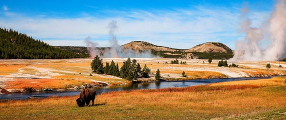 Yellowstone - 8