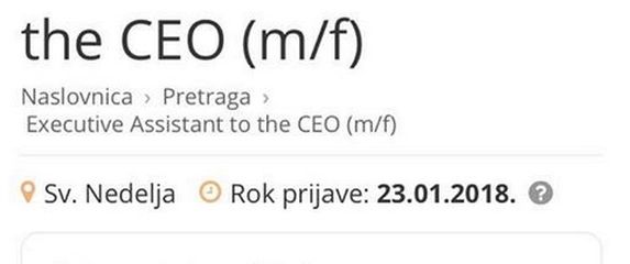 Mate Rimac traži asistenta (Screenshot moj-posao.net)