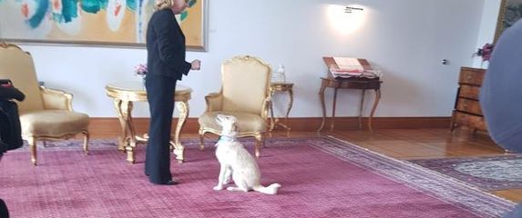 Predsjednica s kujicom Kikom (Foto: Dnevnik.hr) - 1