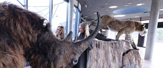 Hiperrealistična replika vunastog nosoroga čiji ostatci su pronađeni u Gornjoj Baraćevoj špilji