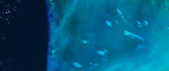 Velike bijele morske mrlje na Bahamima