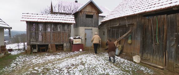 Špek lopovi haraju sjeverom