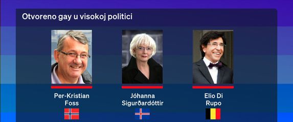 Gejevi i politika - 2