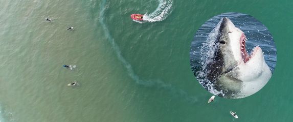 Slika mora iz zraka sa surferima i brodom te morski pas koji izvire iz vode