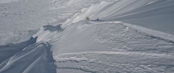 In Magazin: Zimske radosti poznatih - 1