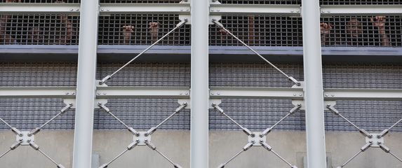 Metropolitan Detention Center - 2