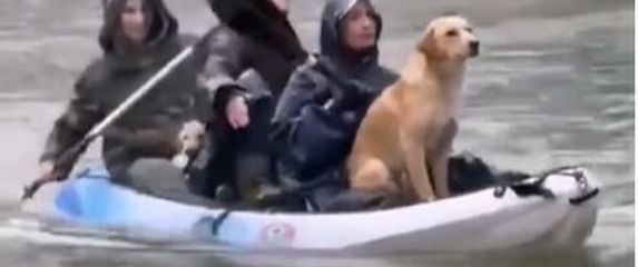 Djevojke spasile psa